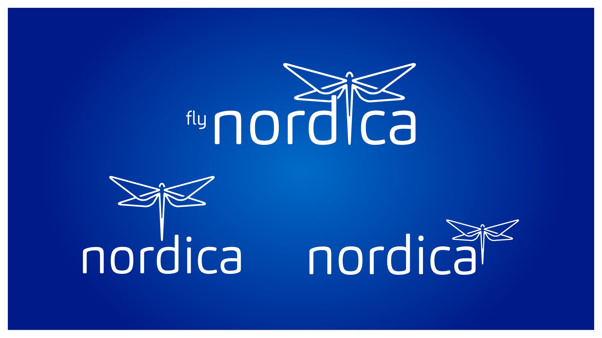 Nordic Aviation Group in Estonia to become Nordica | MorePremium.com