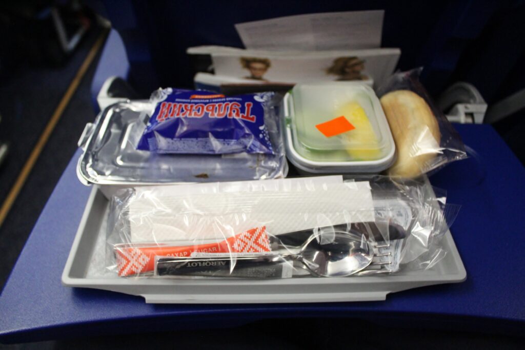 Aeroflot Economy Class Moscow SVO-Rome