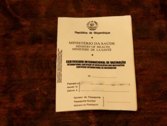 Yellow vaccination card from Mozambique